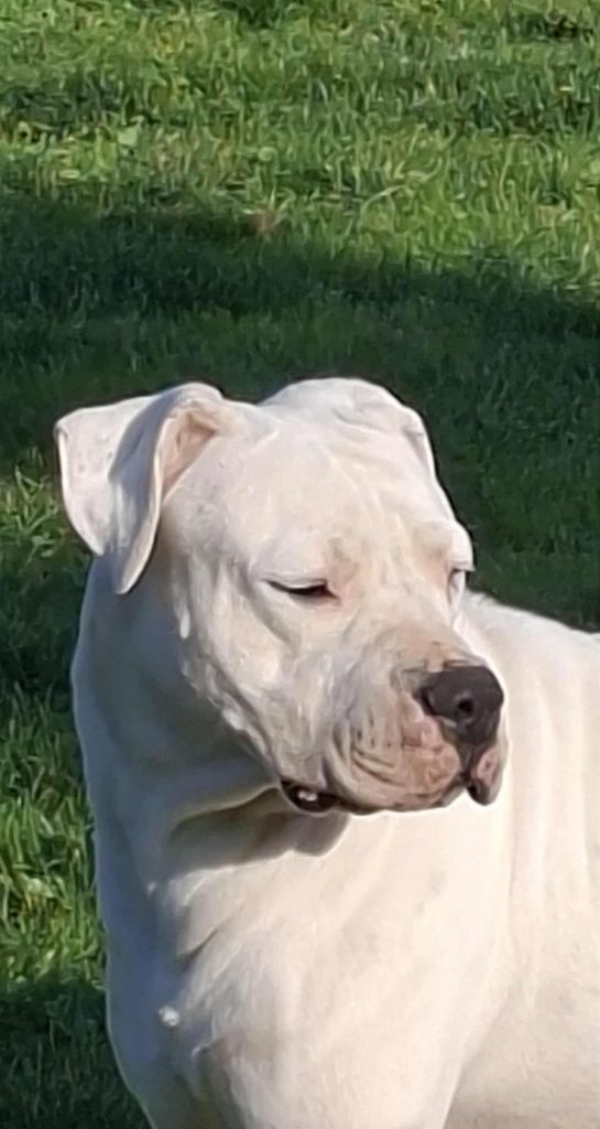 Frida hijos de la suerte